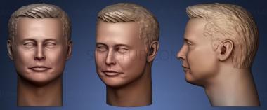 3D model Elon Musk head (STL)